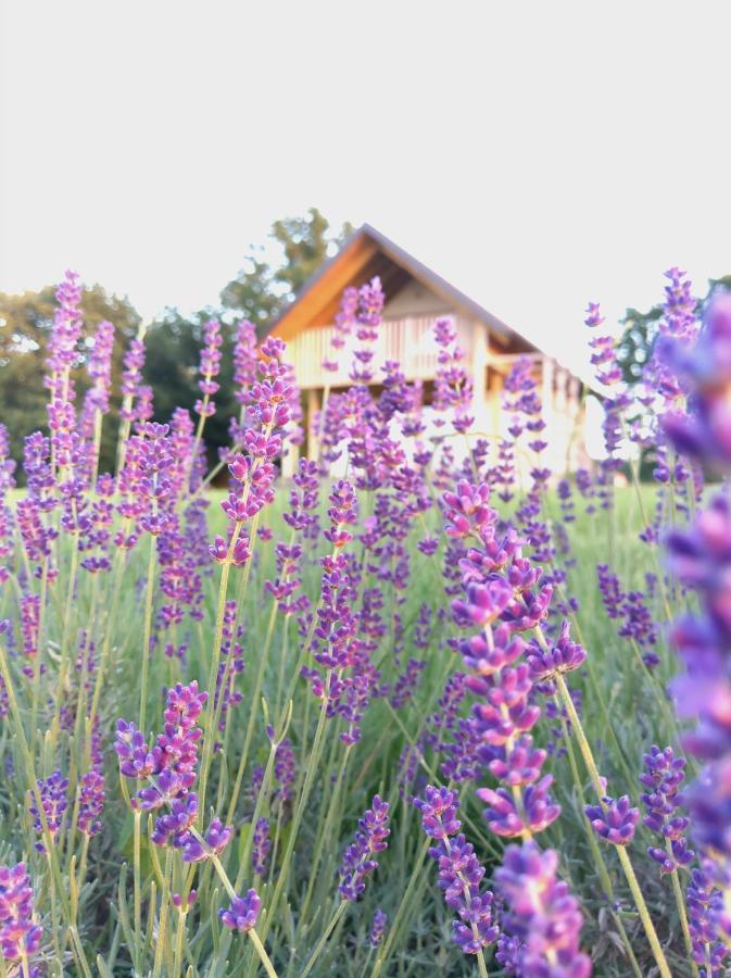 Apartment Hisa Iz Volne *